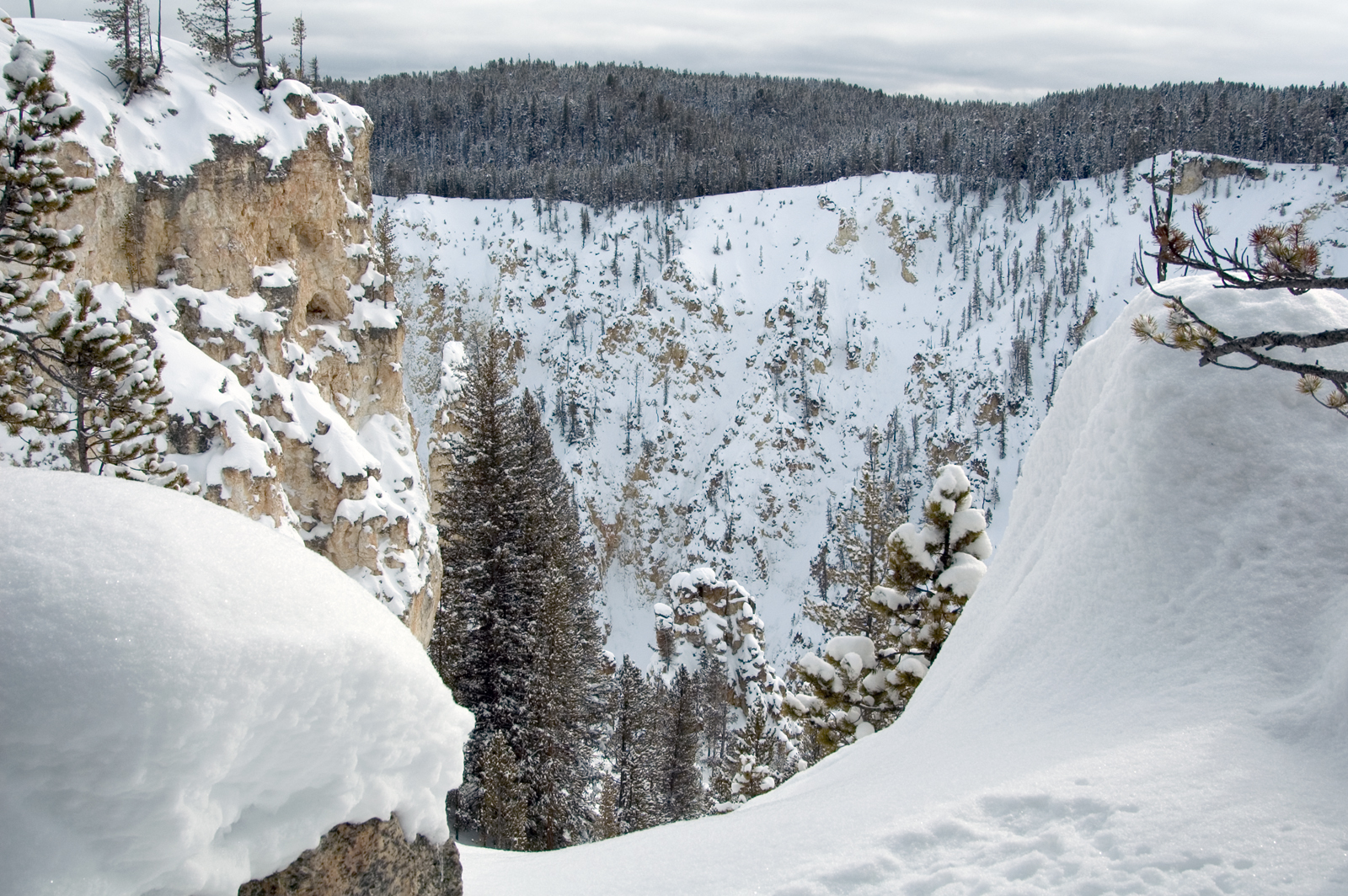 The Grand Canyon of the Yellowstone in winter, snow-covered canyon walls with mist rising from below