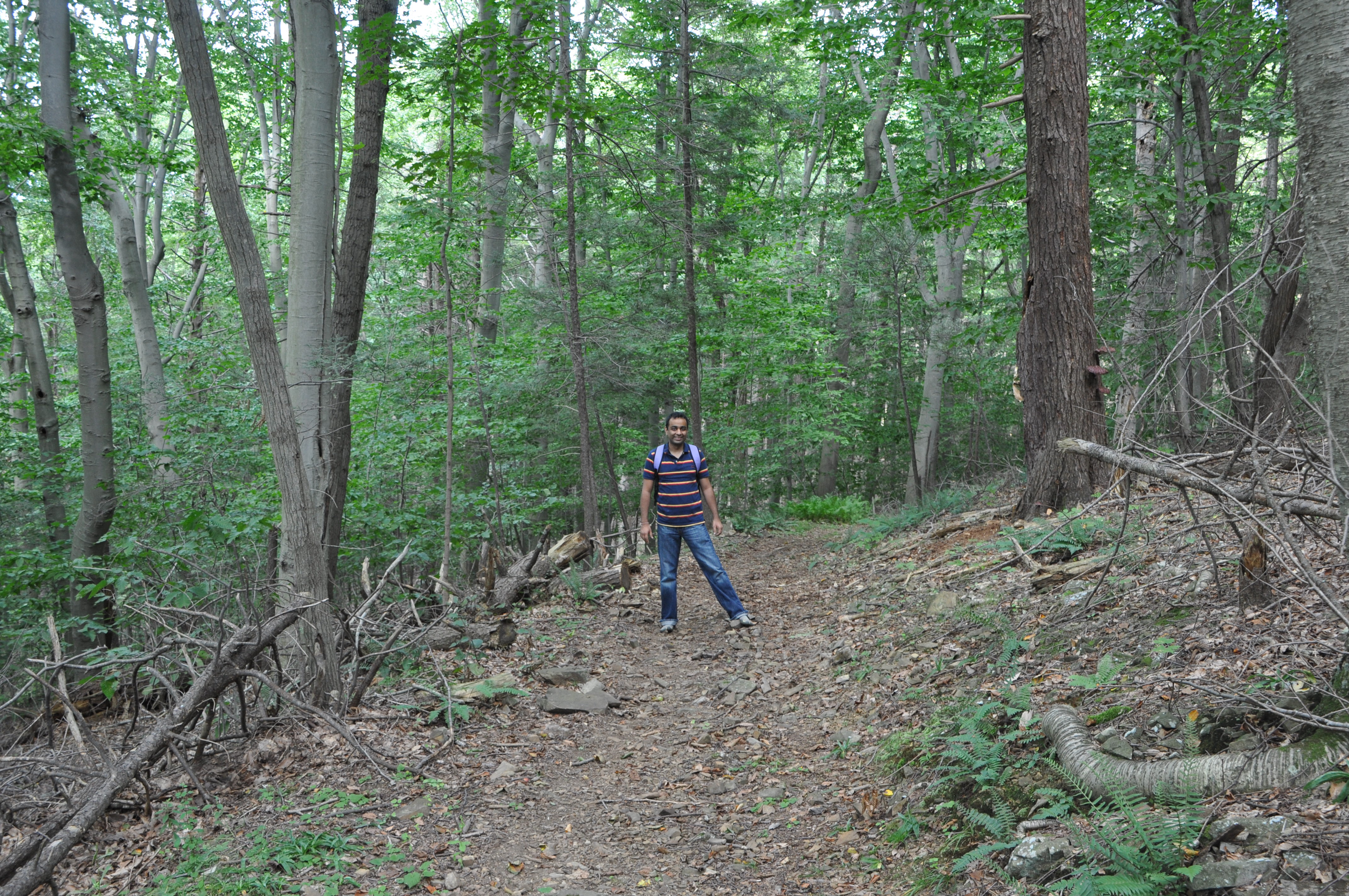 Hiking the Bluff Head trail wearing Vibram Five Fingers shoes
